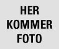 Her-Kommer-Foto___serialized1